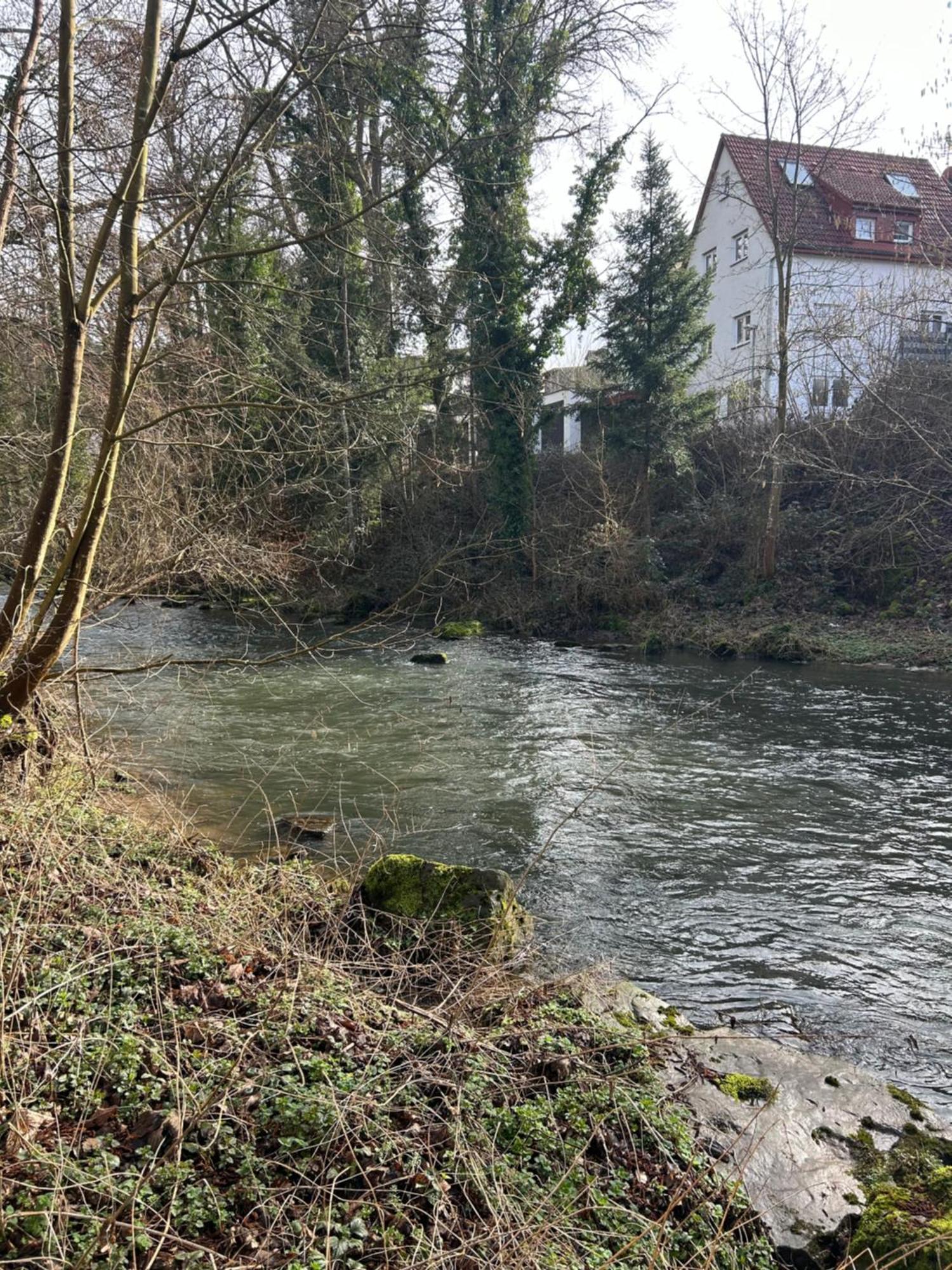 Villa Am Fluss 포르츠하임 외부 사진