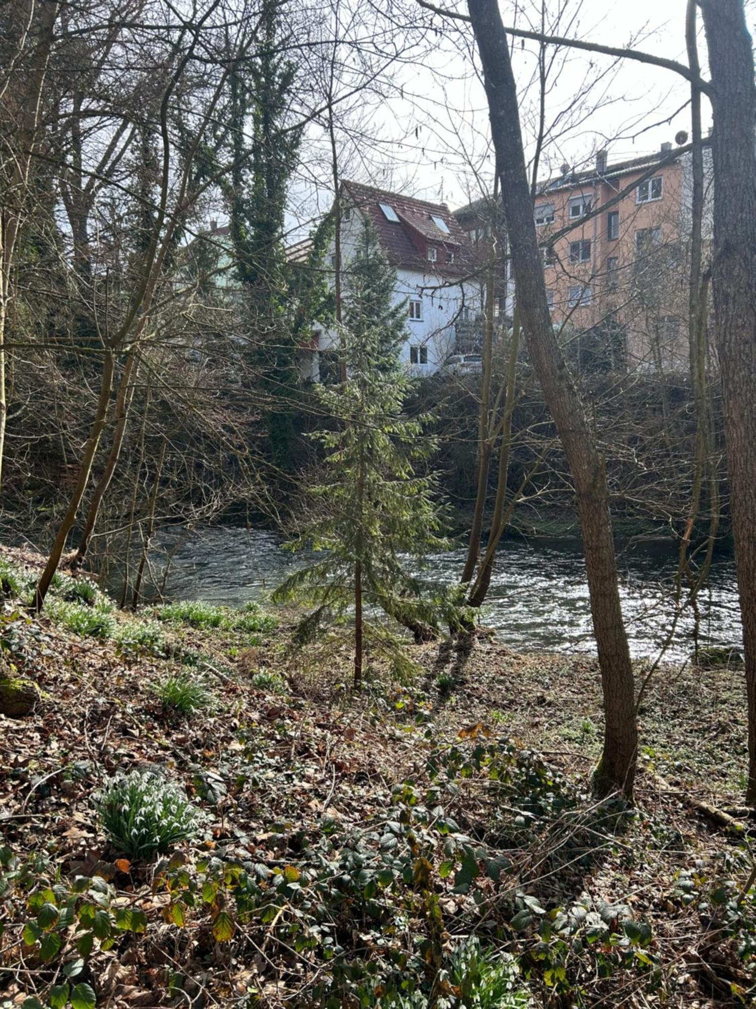Villa Am Fluss 포르츠하임 외부 사진